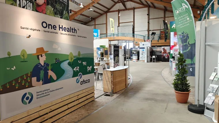 foire agricole libramont totem borne tactile