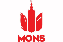 Hotel de Ville de Mons