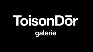 Ecrans galerie commerçante | Toison d'Or | Bruxelles - Expansion TV affichage dynamique digital signage - Références